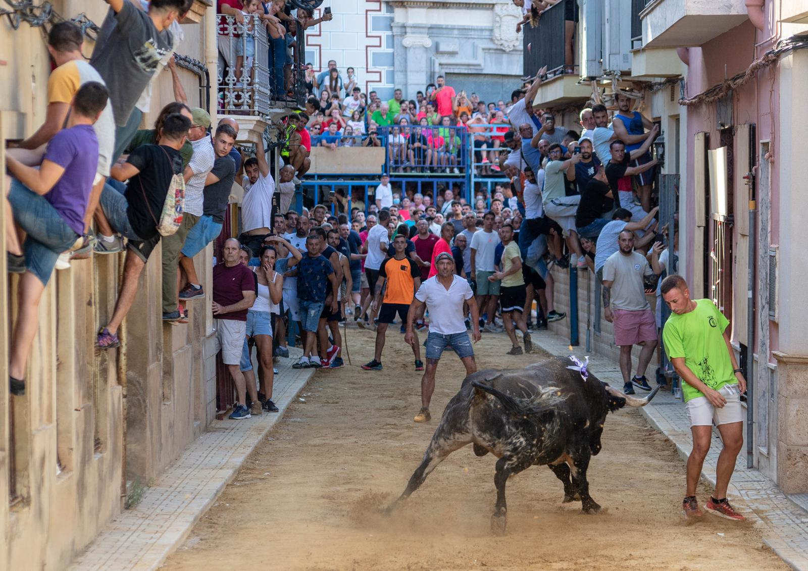 Carrer ple de públic durant un acte de bous al carrer
